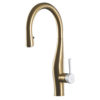 Imagine Pull-Down Kitchen Faucet - Split Finish